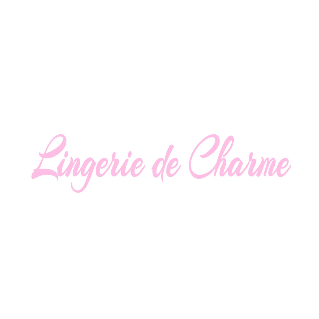 LINGERIE DE CHARME VILLENEUVE-SUR-CHER